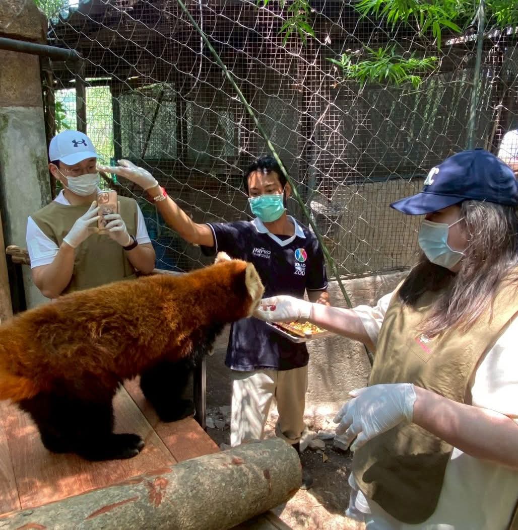 สวนสัตว์เปิดเขาเขียว Khao Kheow Open Zoo tweet media