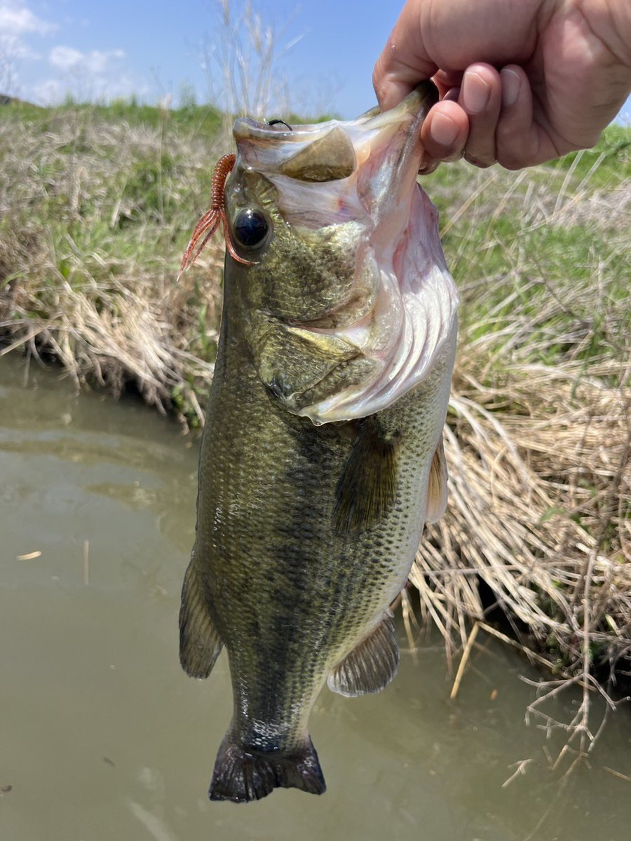 村川勇介@FTK126 tweet media