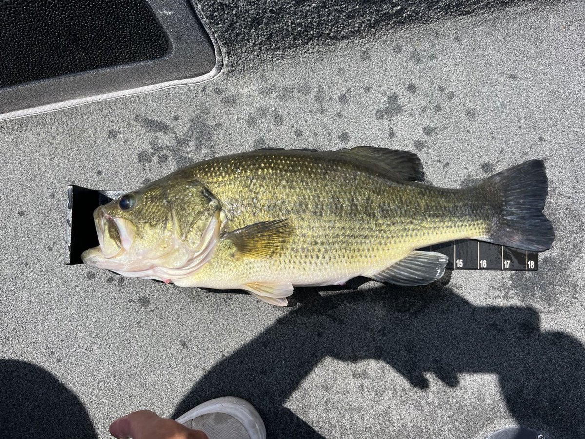 村川勇介@FTK126 tweet media