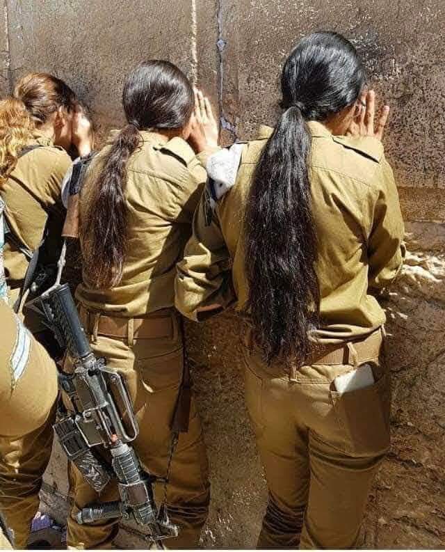 Israeli Elegance tweet media
