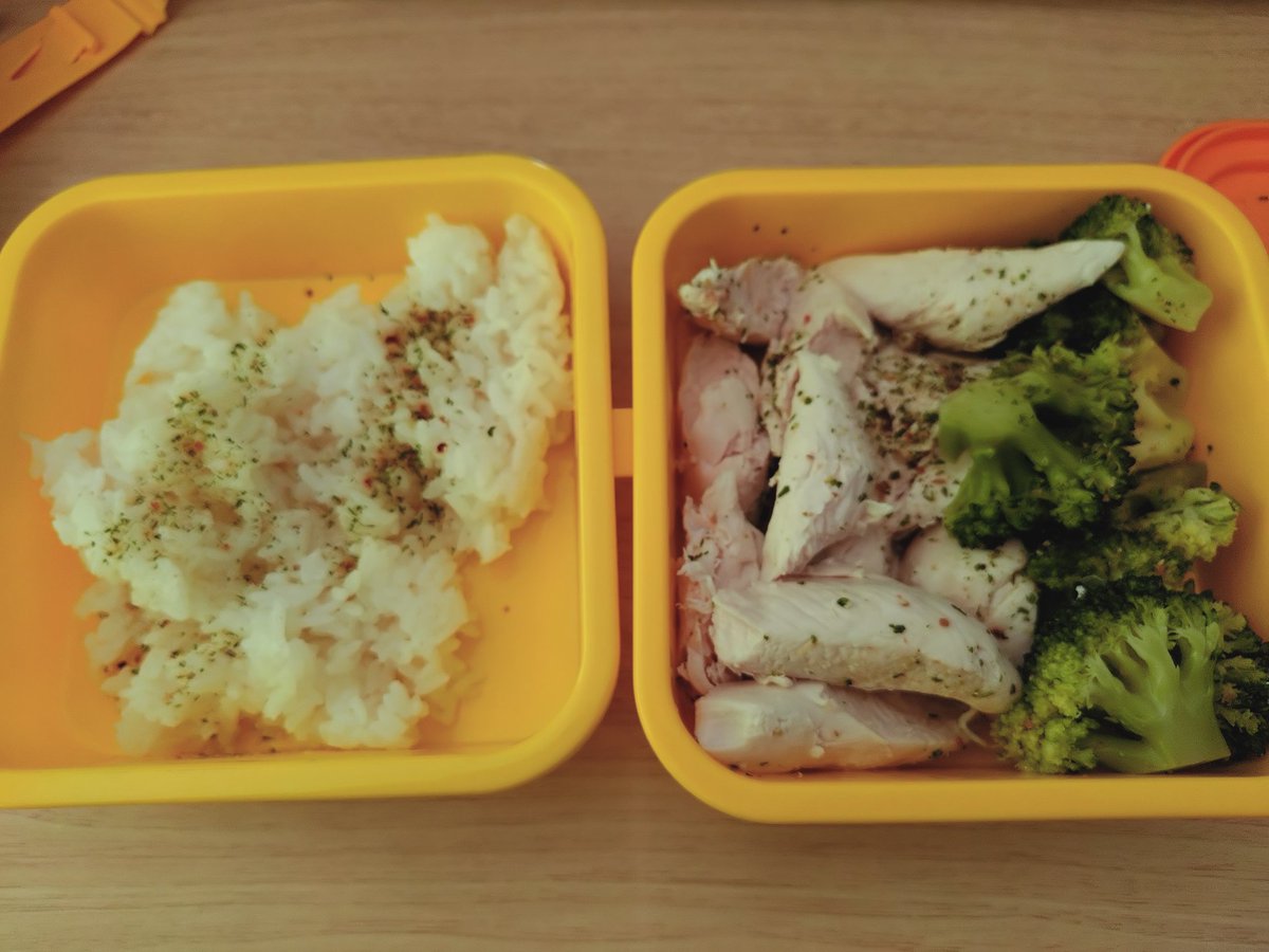 弁当生活一日目