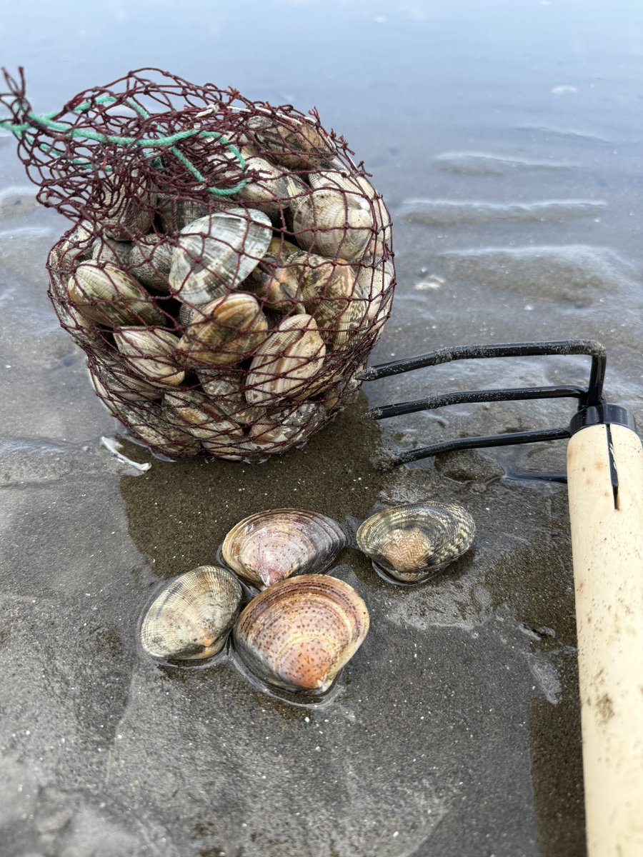 ʕ•̫͡•紬乃•̫͡•ʔ tweet media