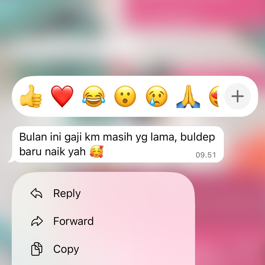 ditty ✿ tweet media