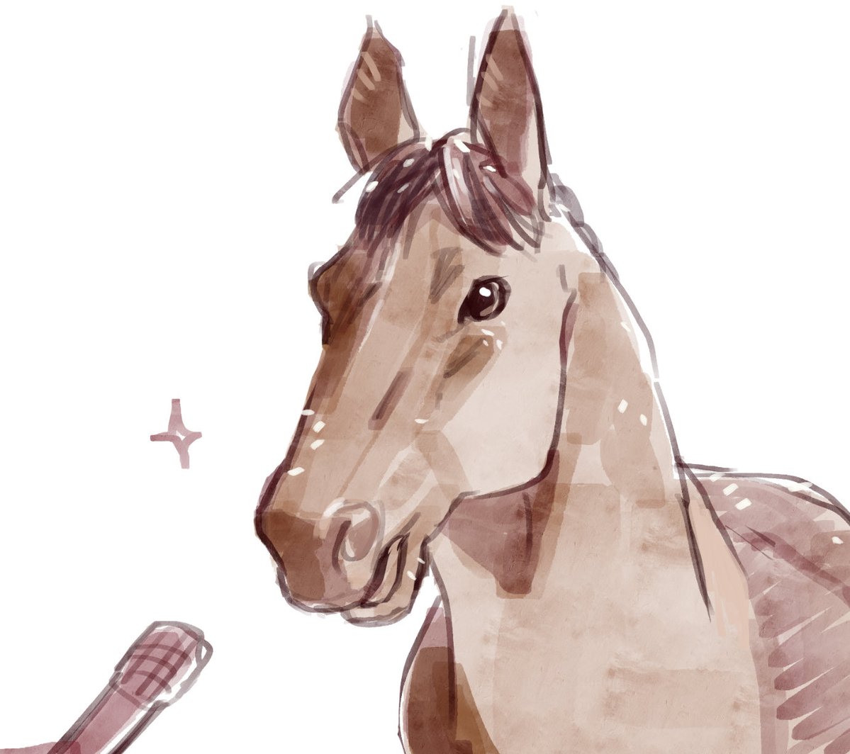 ひきわけ tweet media