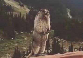 のたり鬼銕、毎日暗中模索、それでも我が道を往く。 tweet media