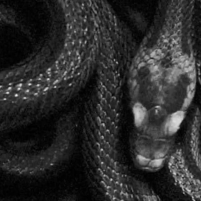 madsrpntec's tweet photo. 𝔈𝔯𝔦𝔠 ℭ𝔯𝔬𝔴𝔩𝔢𝔶

aka: Crowley, The Mad Serpent, The Canadian Serpent, The Canadian Loverboy, Canadian’s Loki, The Duke of Judgment, Judgment’s Serpent https://t.co/jb1EWdrxmJ