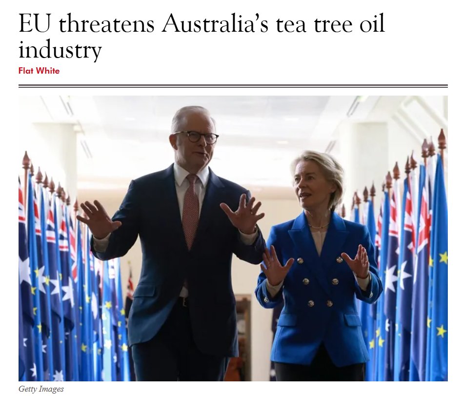 Alexandra Marshall tweet media