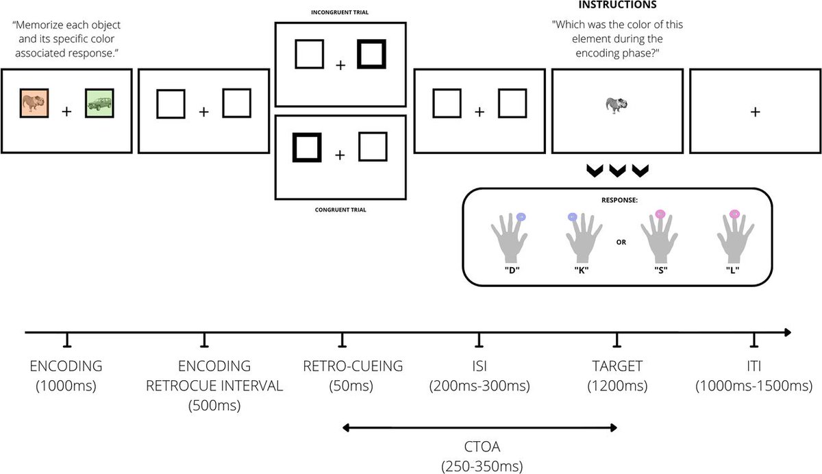 SfN Journals tweet media