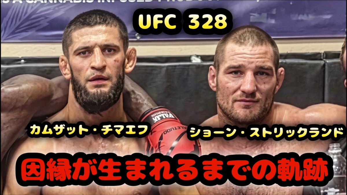 人型エイリアン👽 tweet media