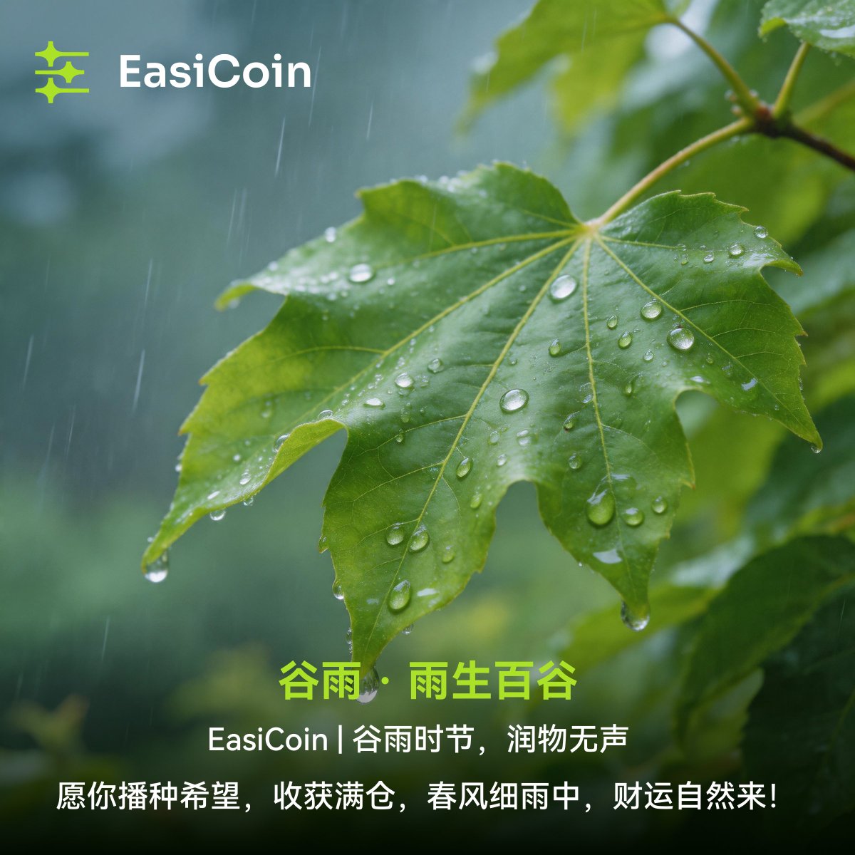 🌾谷雨 · 雨生百谷  🌧️  

EasiCoin | 谷雨时节，润物无声 🌱  

愿你播种希望🌿，收获满仓！🍃

春风细雨中💧，财运自然来！💰✨