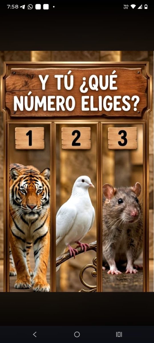 fernando zuluaga 🇨🇴🇺🇸 tweet media