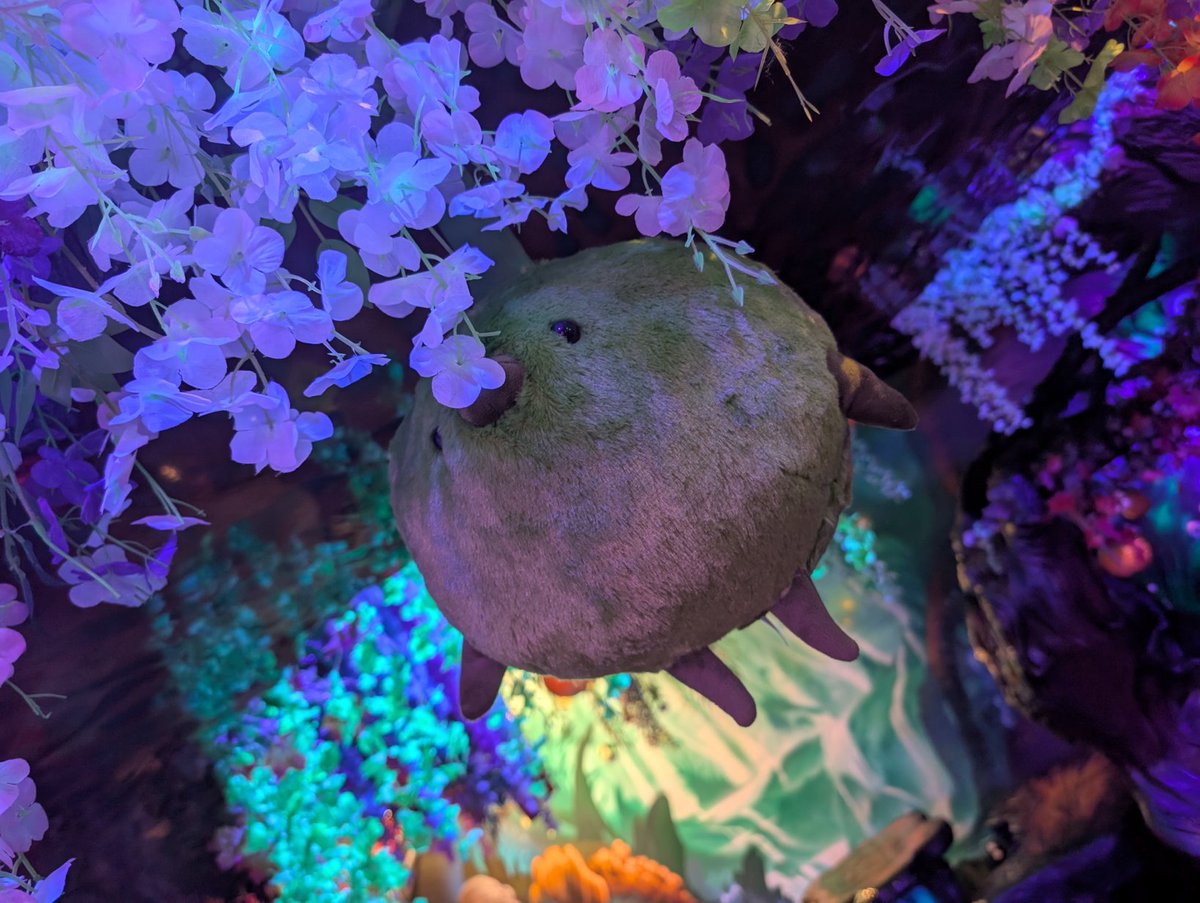 ViaSapientis's tweet photo. The Korpokkur is waiting for you at the Requiem Cafe .......... #requiemcafe #ffxiv https://t.co/t9qesoyG92
