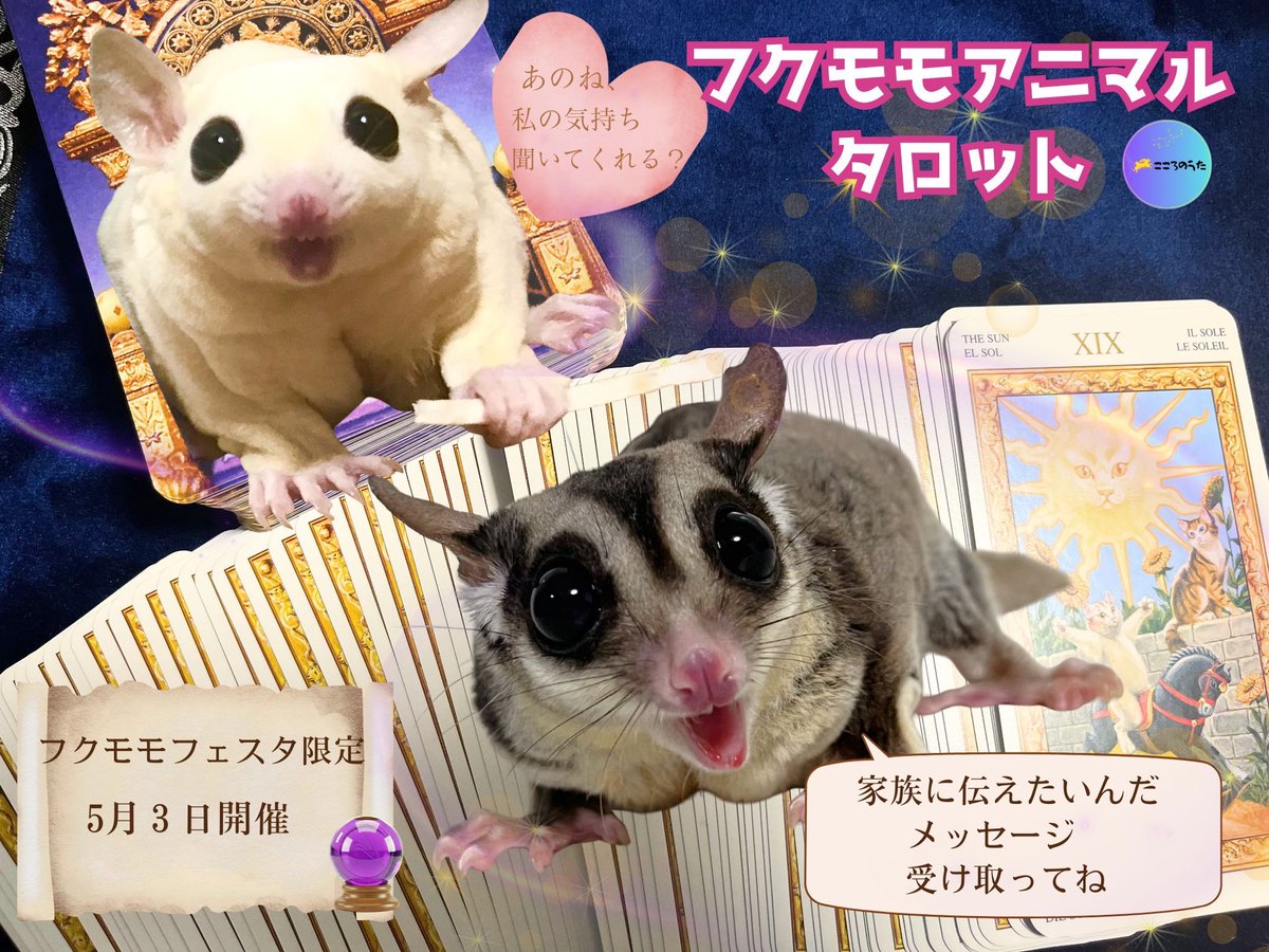 兎月（うづき） tweet media