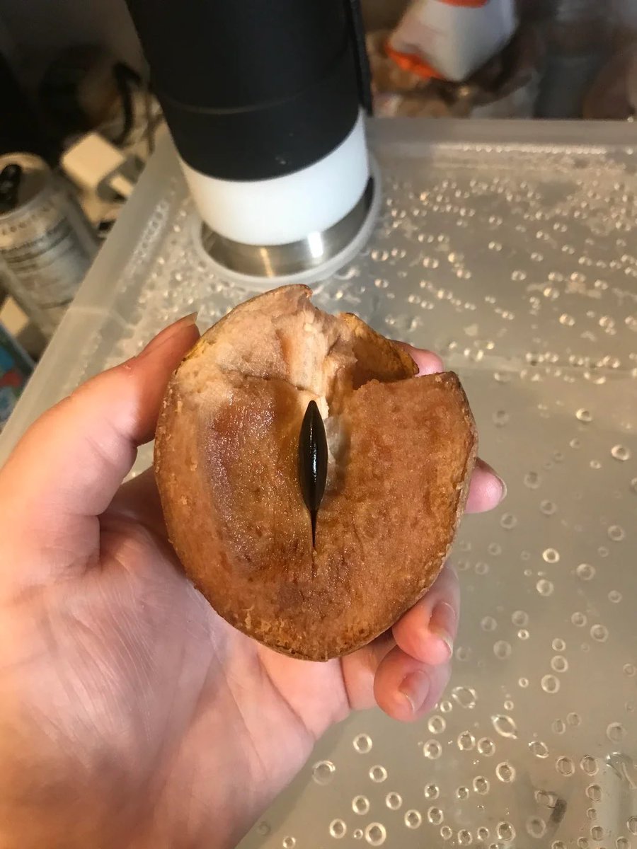 Rye ⋆.˚ 🦦⋆ tweet media