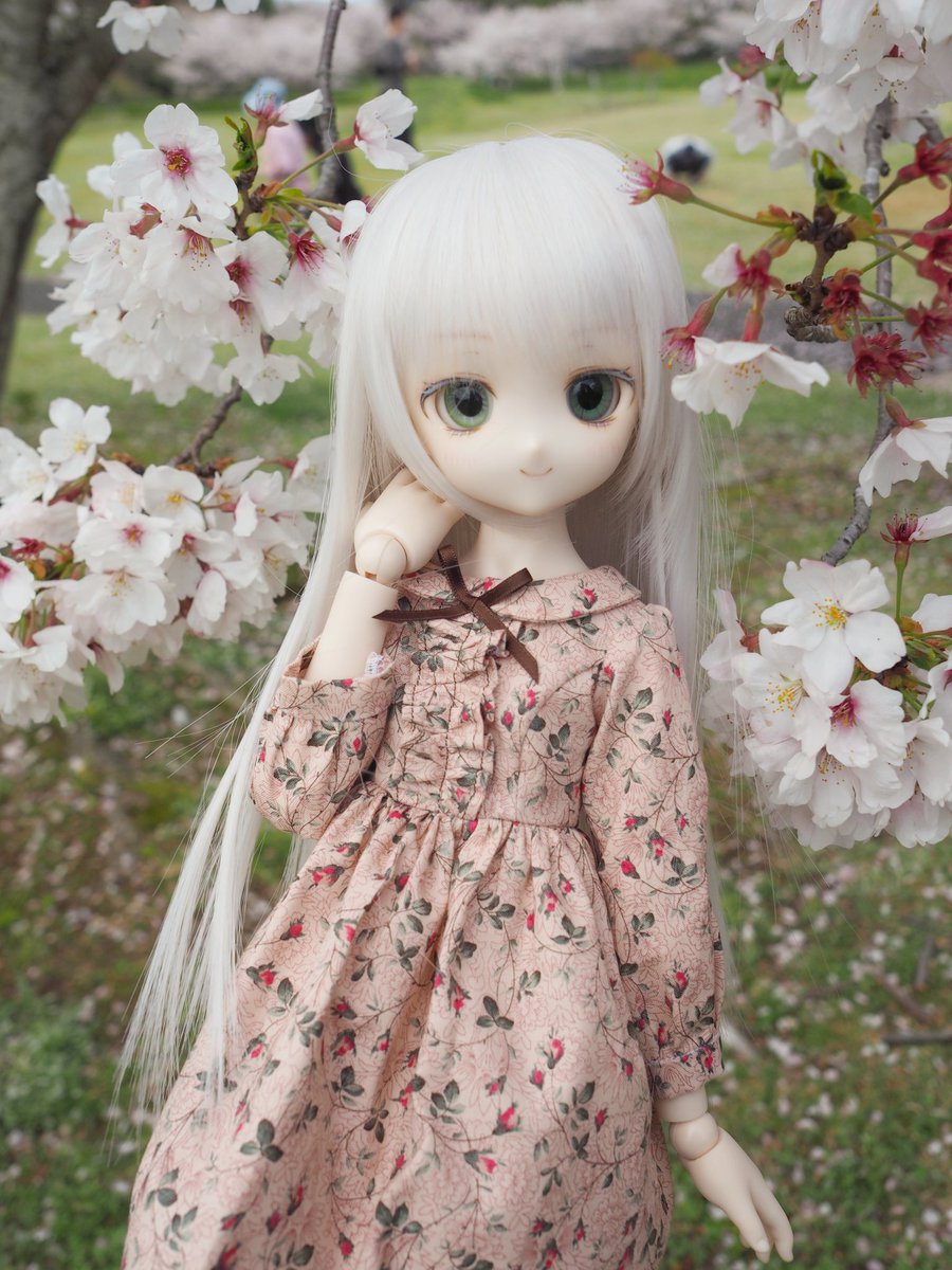 ７９y@7:tn:9 tweet media