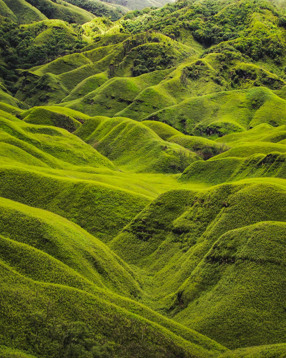 Alayah  Lowe tweet media