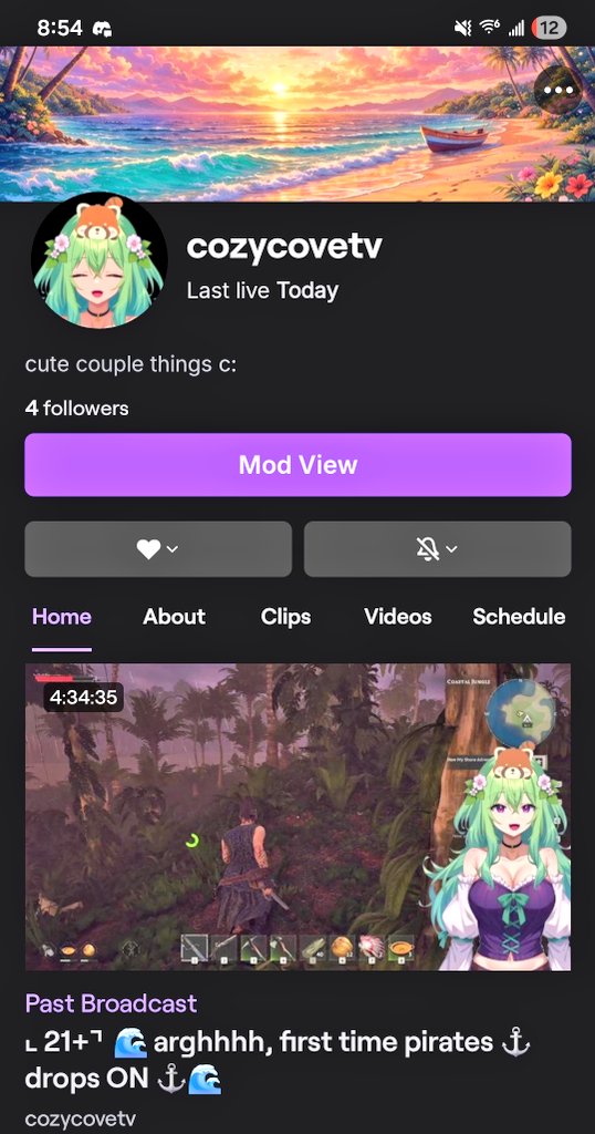 Radi&Dakk 🩷💚 Twitch Streamers tweet media