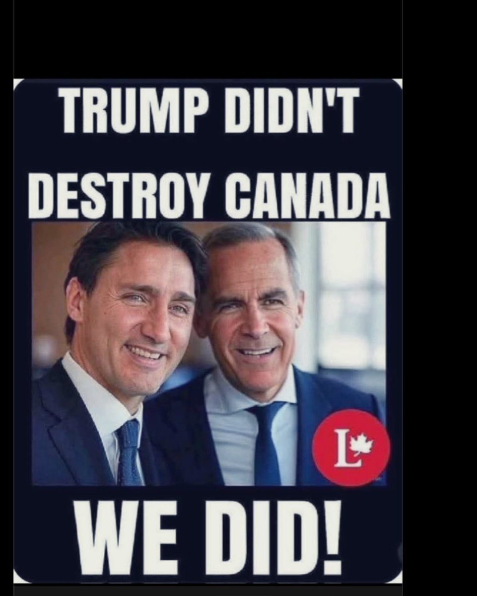 Benfica the Cat 🐈‍⬛🐾💕 tweet media