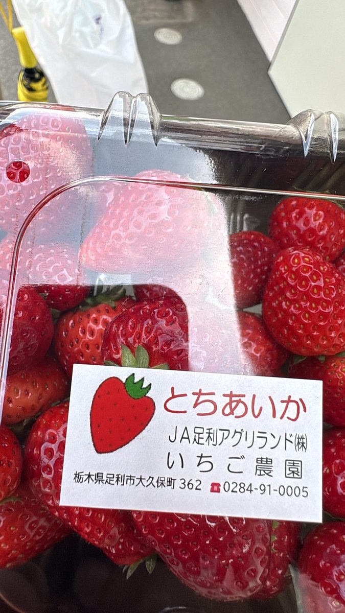 mouse(老鼠)😜🤪 tweet media