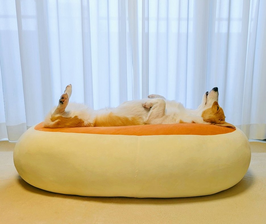 こまち@彩 tweet media