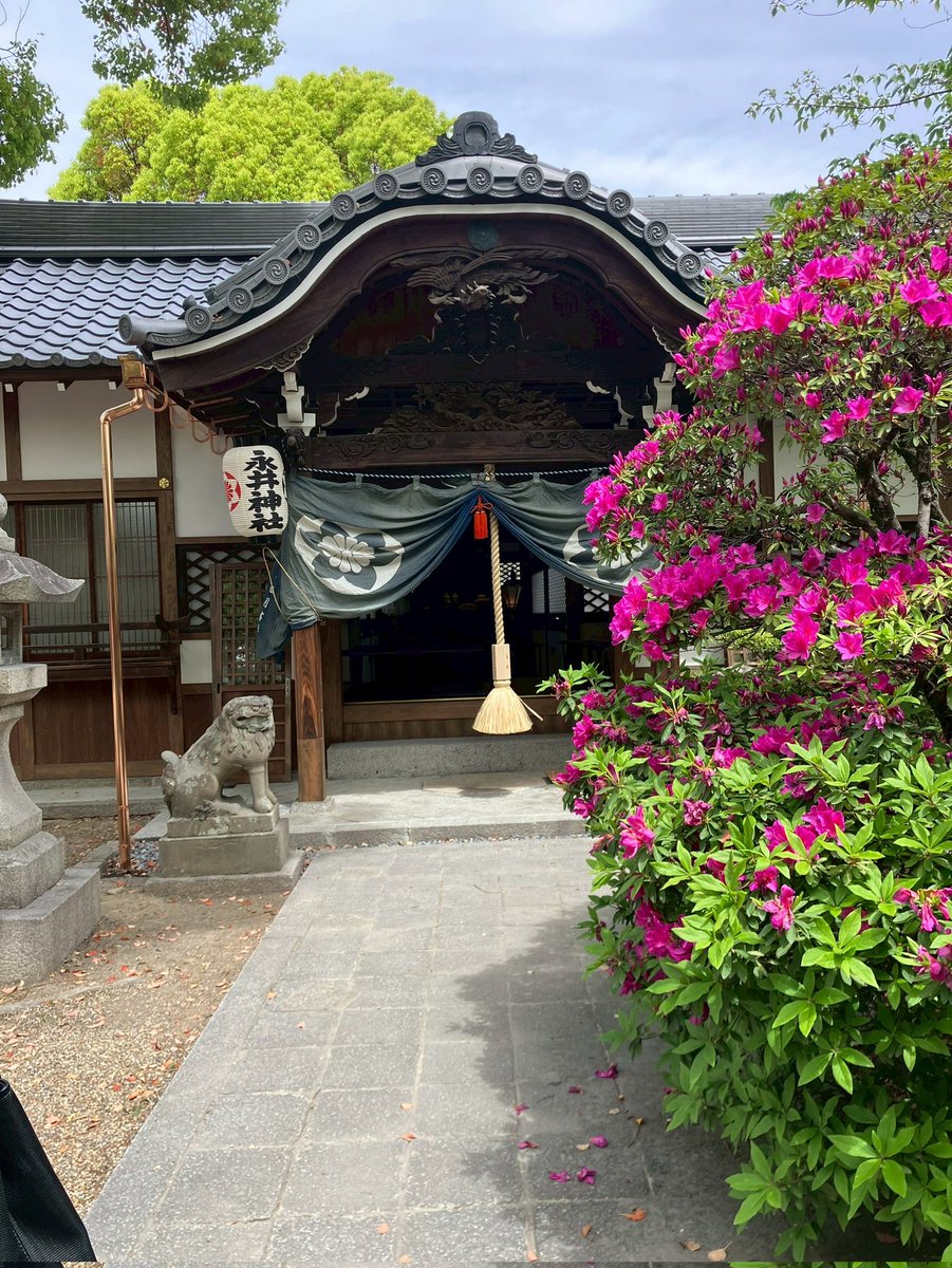 R2KsnmeTLw2593's tweet photo. こんにちは。昨日、4月19日　高槻野見神社境内に鎮座する永井神社例祭並び竣工記念式典が行われました。
私は久々に来訪された永井さまご家族とともに案内兼ね参列致しました。
旧社殿がボロボロで大変な状況だったのを知る者として、在りし姿が綺麗に蘇えた事、嬉しかったです。
ありがとう。直清 https://t.co/vFdW25lcVA