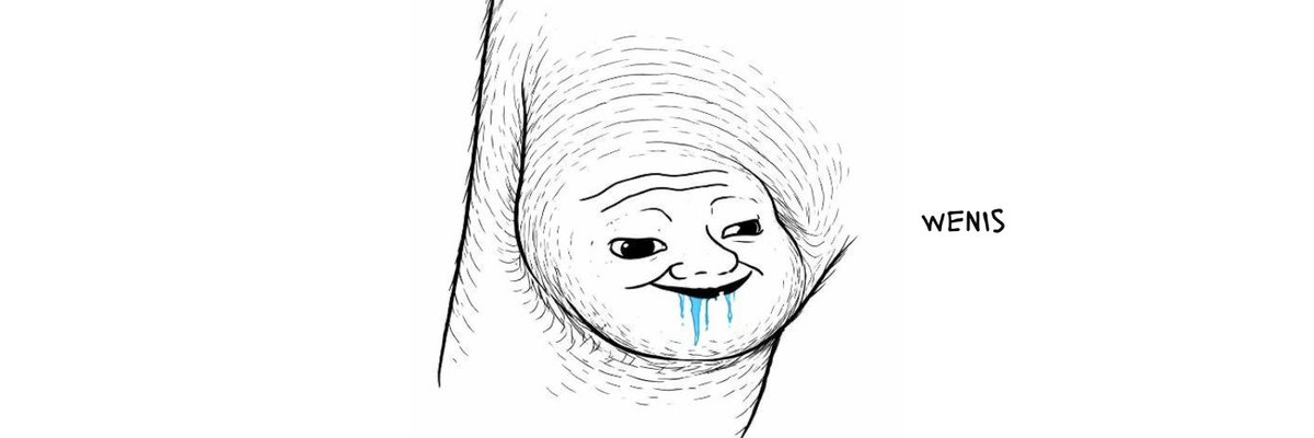 devtoshi tweet media