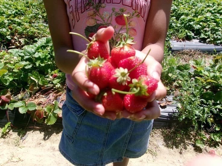 starvingsnails's tweet image. food poll⋆.𐙚 ̊
my childhood foods pt 1⋆.˚
cals don’t count⋆˙⟡
🏷️: #edtwt #foodpoll #thisorthat #interactive #distraction