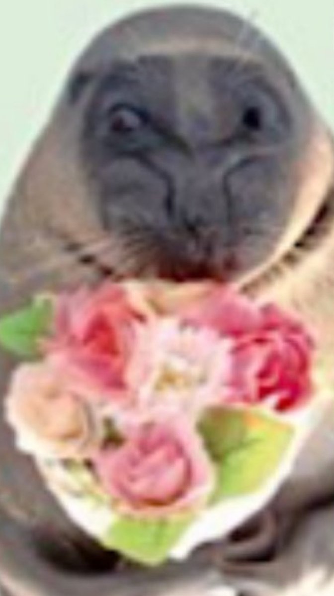 Poopywoopy tweet media