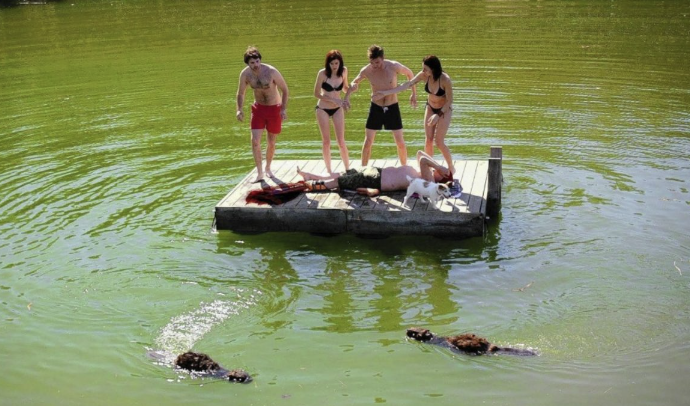 MistrelofHorror's tweet image. I don't think it would take mutation for beavers to attack humans, it would just take one to figure out how to build a dam with a human, then we'd be done for...you know how much easier it would be to attack us vs. gnawing down a tree? #horror #dam #beaver #building #materials