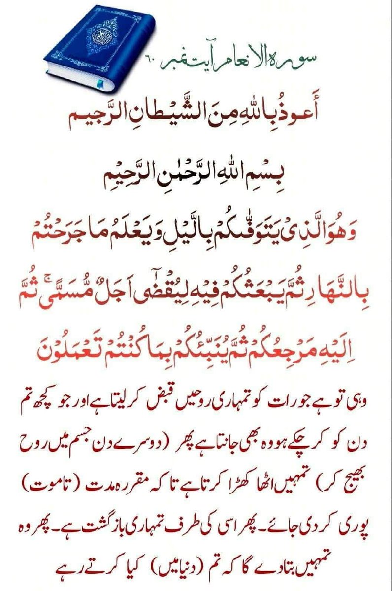 ✰𝗦𝘆𝗲𝗱 𝗦𝗼𝗵𝗮𝗶𝗹 PTI✰ tweet media