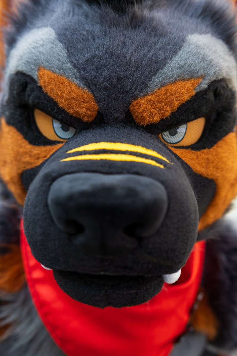 AK-9🚨 tweet media