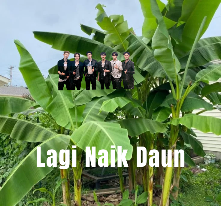 ENGENE INA tweet media