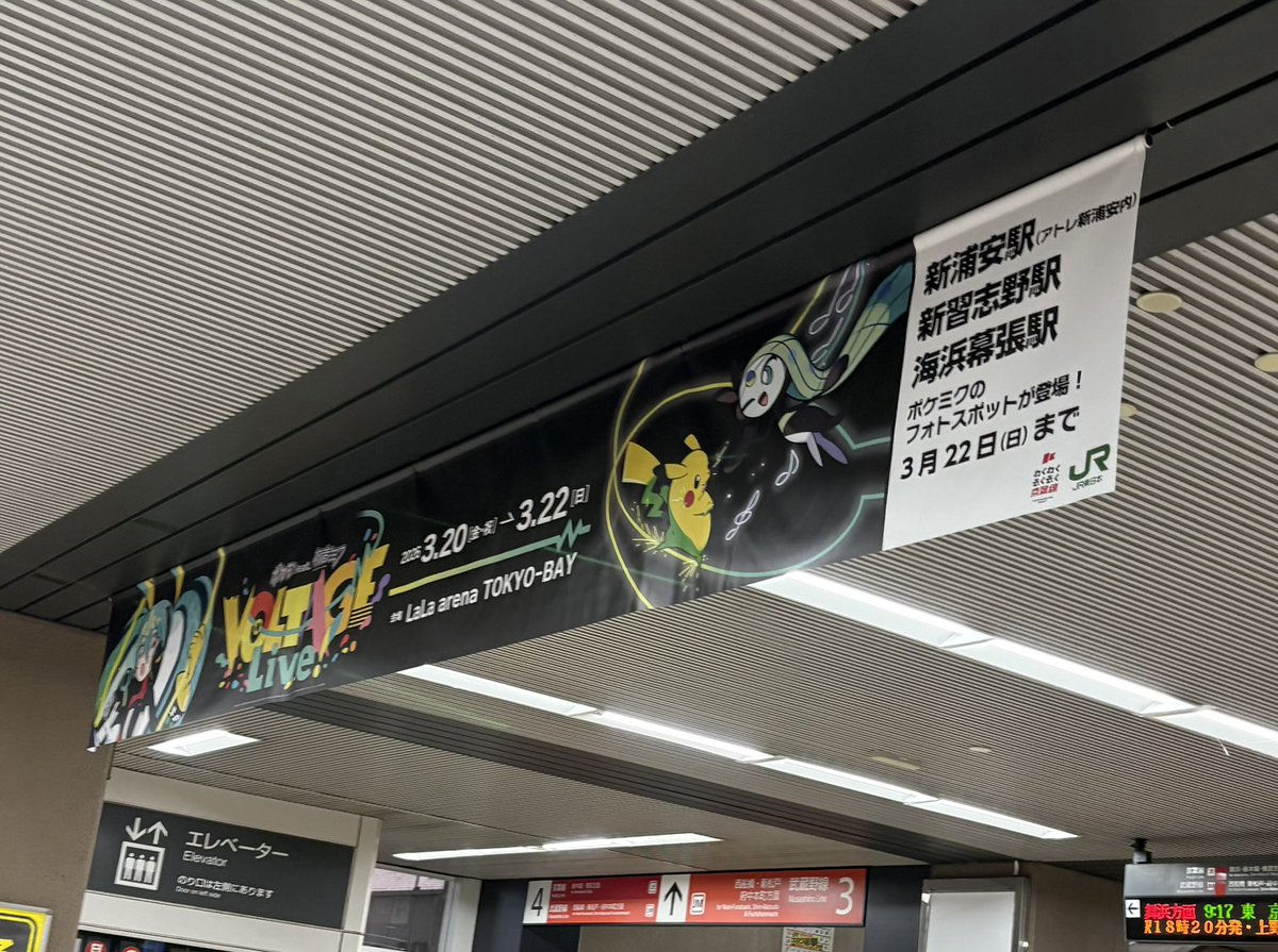 ぬー マジミラ幕張楽しみ🌻 tweet media