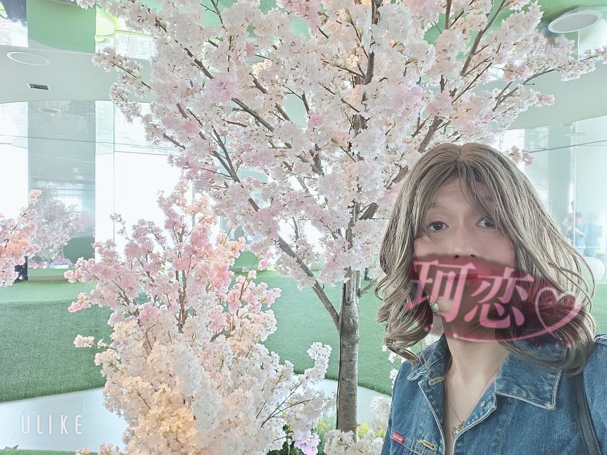 珂恋【かれん】 tweet media