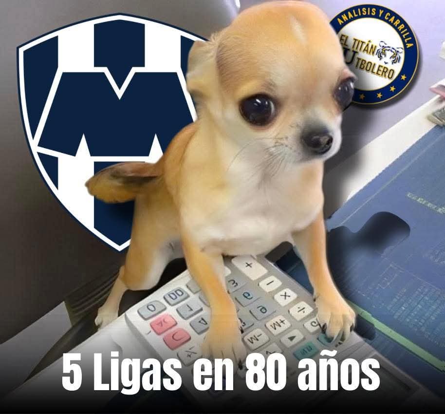 Hector Caco 🎥🎬 tweet media