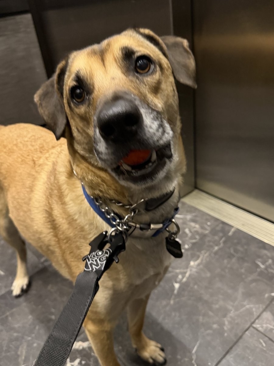 Jason Rantz on Seattle Red tweet media