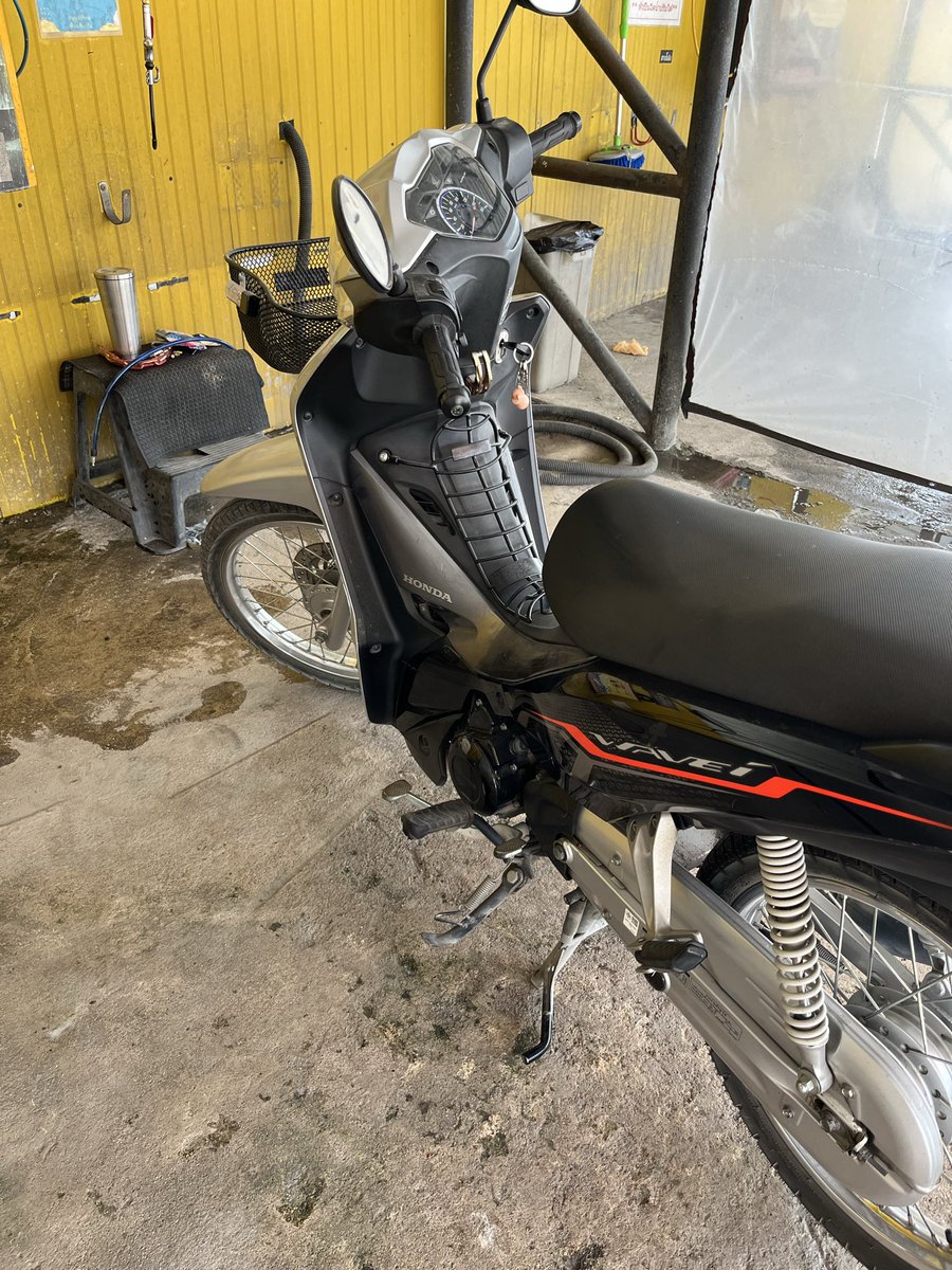 ป.ปลาตากลม tweet media