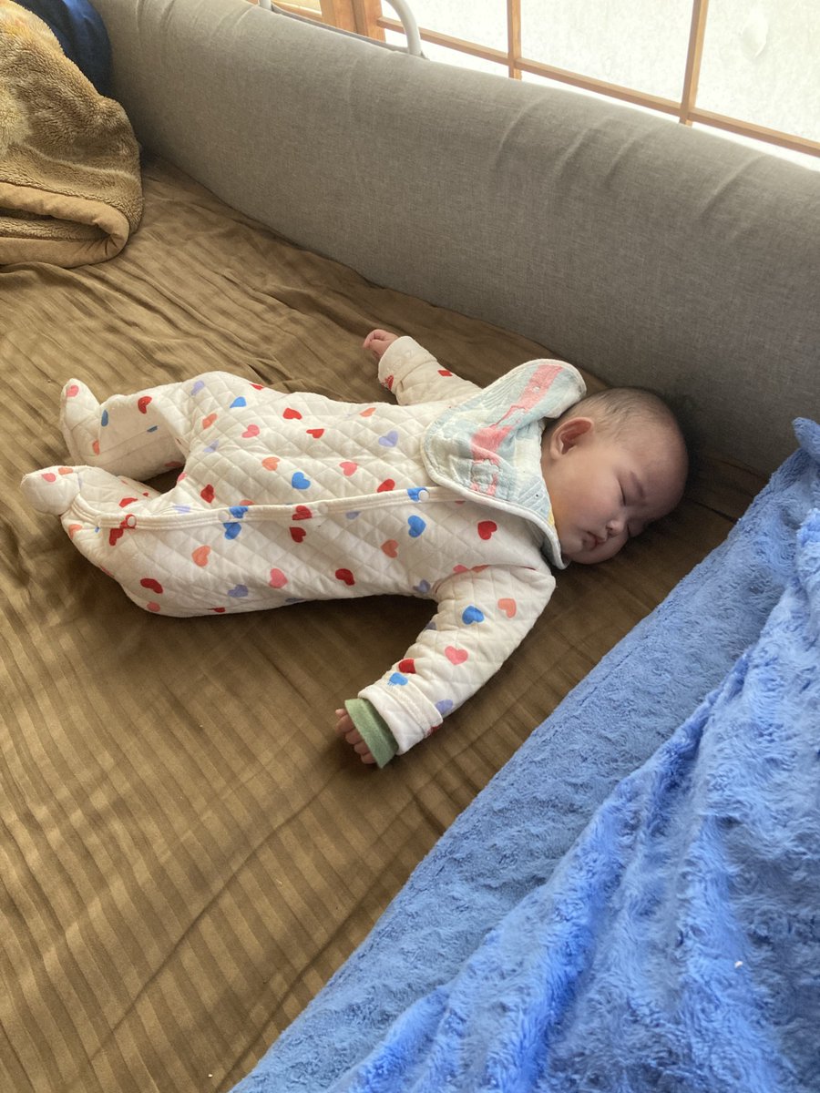 ヤッキー tweet media