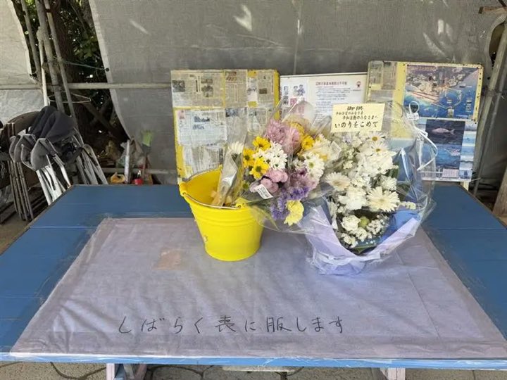 みどり4 tweet media