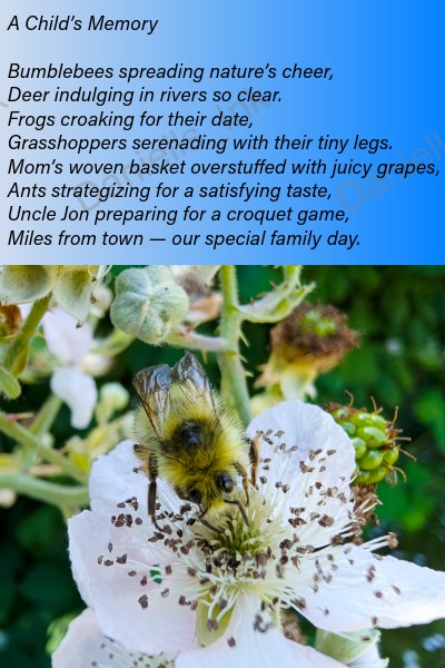 DaniellesInk's tweet image. I would like to thank Mr. Bee for stopping by. His search for nectar turned into a photo shoot — we rubbed each others back so to speak. 

Enjoy a sneak peek of what is to come. 🐝

#writingcommunity #poetry #bumblebee