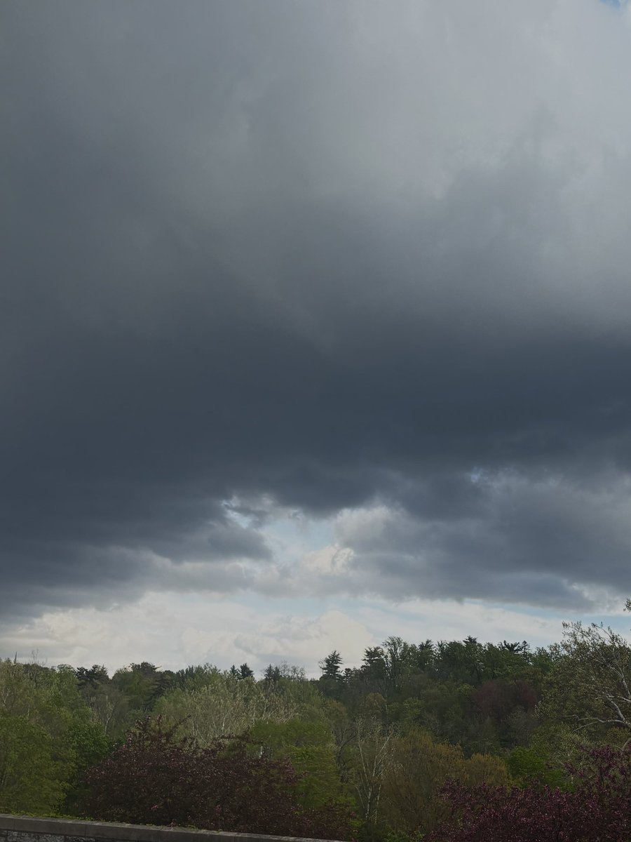 Marie 🪭 tweet media