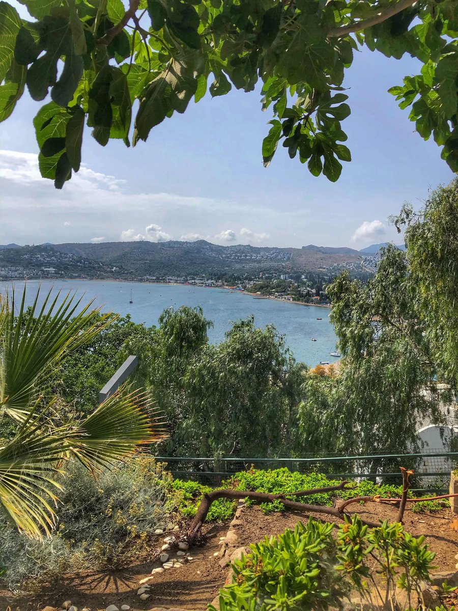 Selamünaleyküm herkese canlar 
Saglıklı huzurlu bir hafta diliyorum. 💛❤️🍬☕️