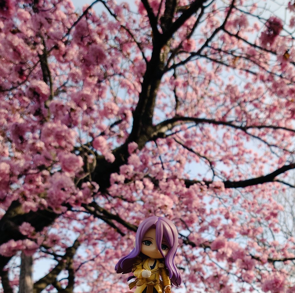 ちょこなん tweet media