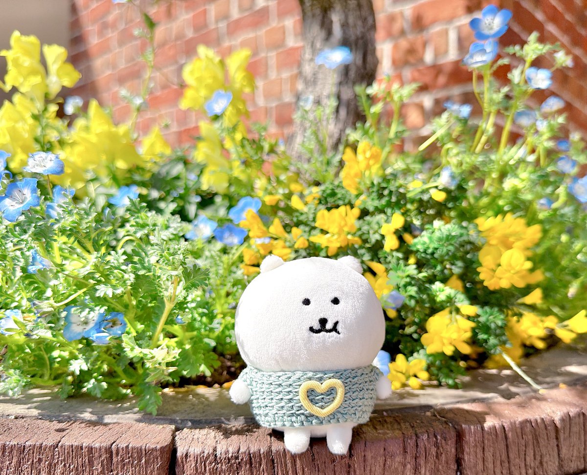 あさこし tweet media