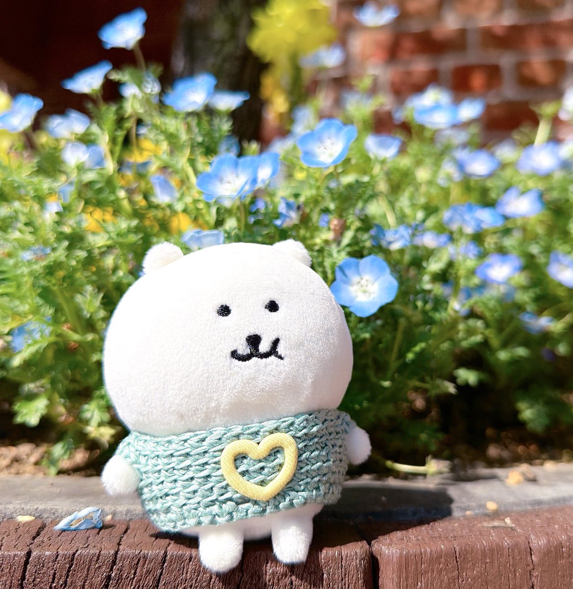 あさこし tweet media