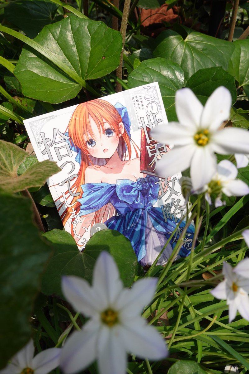 この世界の攻略本を拾ってしまいました』公式📕3巻3/31発売