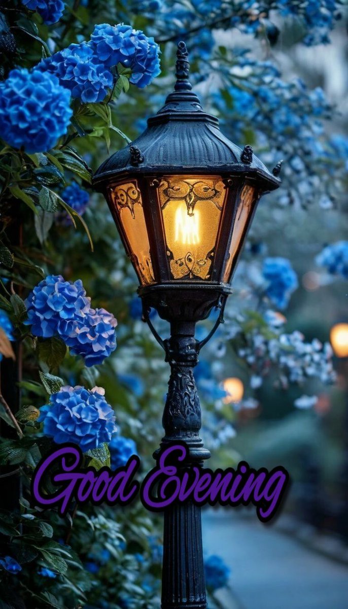 daisygirl29's tweet image. Good Evening 💫💫
Have a peaceful night... 🦋🪻🪻🦋
#goodevening