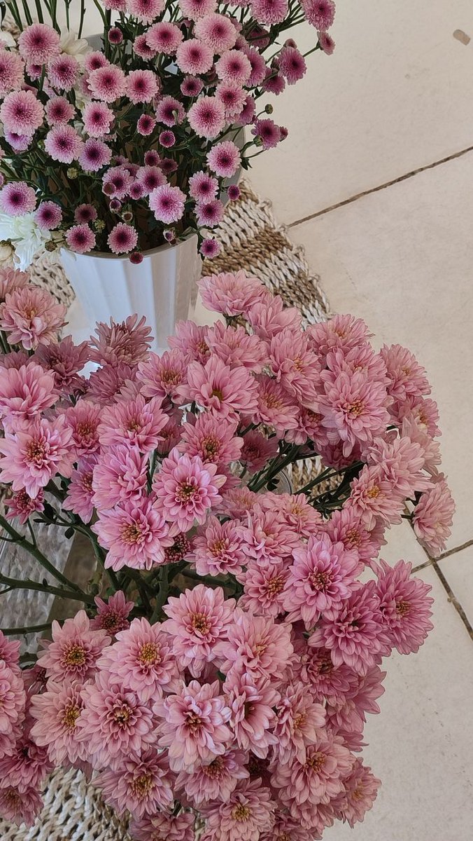 sarah ayu tweet media