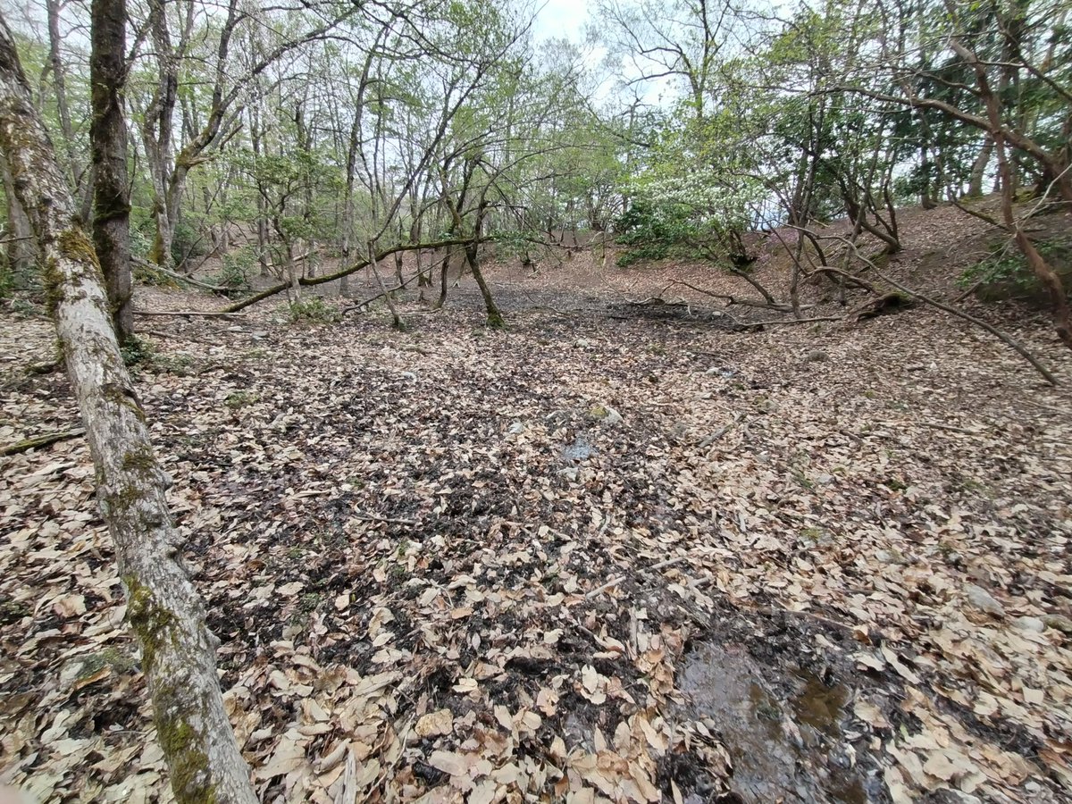 しまきう＠熊に返り血を浴びせるひよ子猟師 tweet media