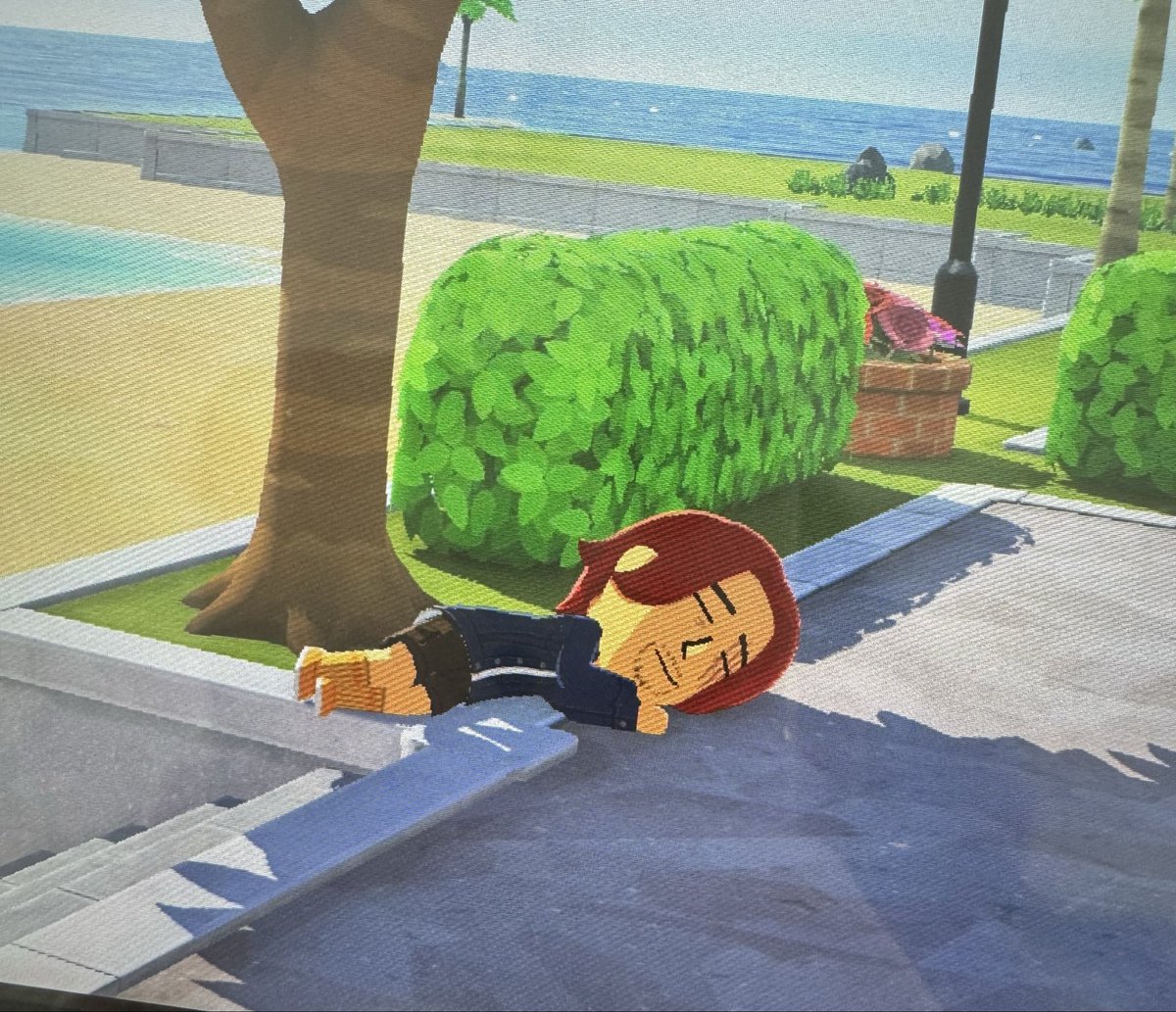 Miss Nirelle tweet media